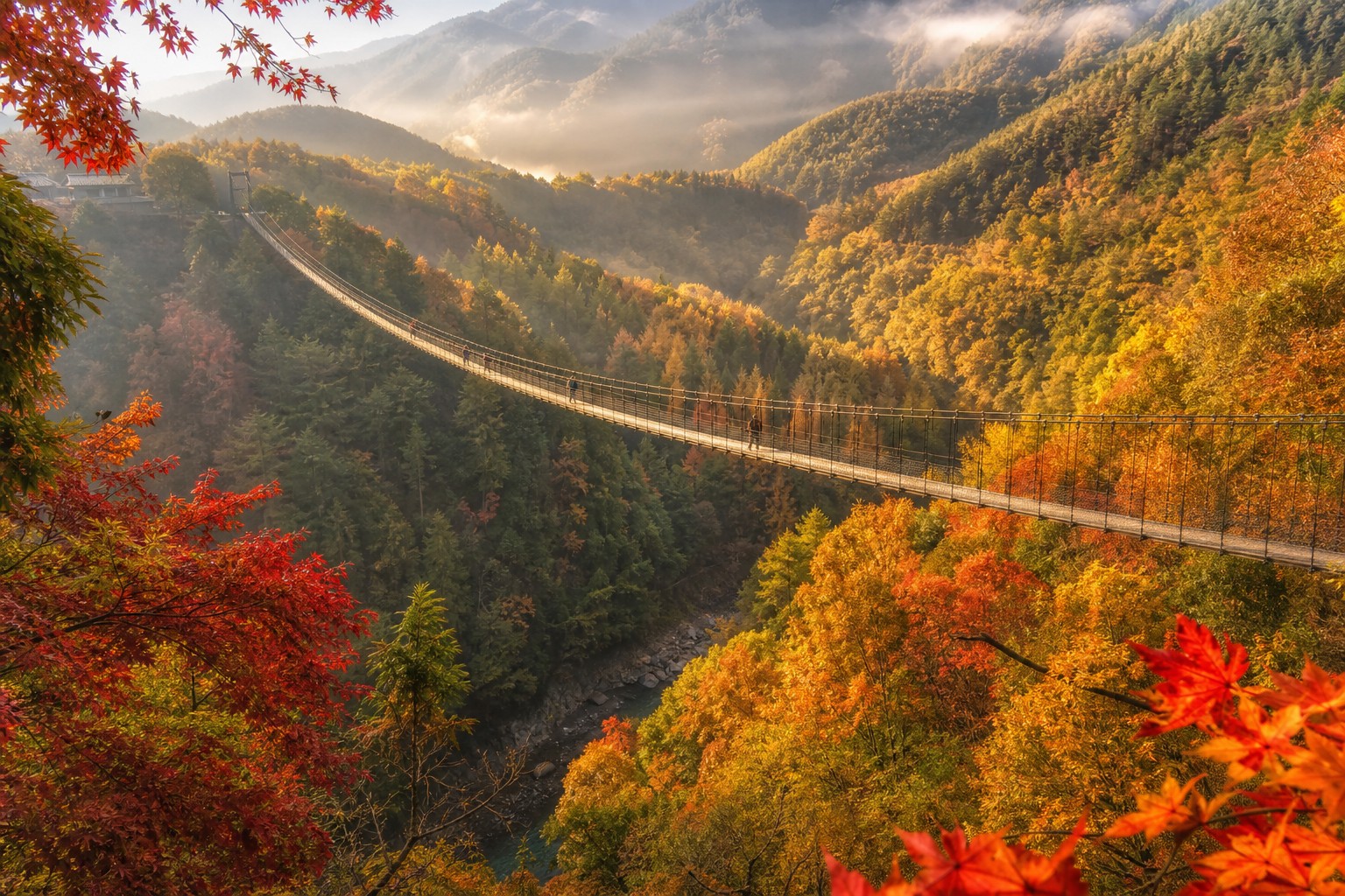 橫跨萬大溪谷的奧萬大吊橋，深秋楓紅時節是台灣最經典的賞楓畫面