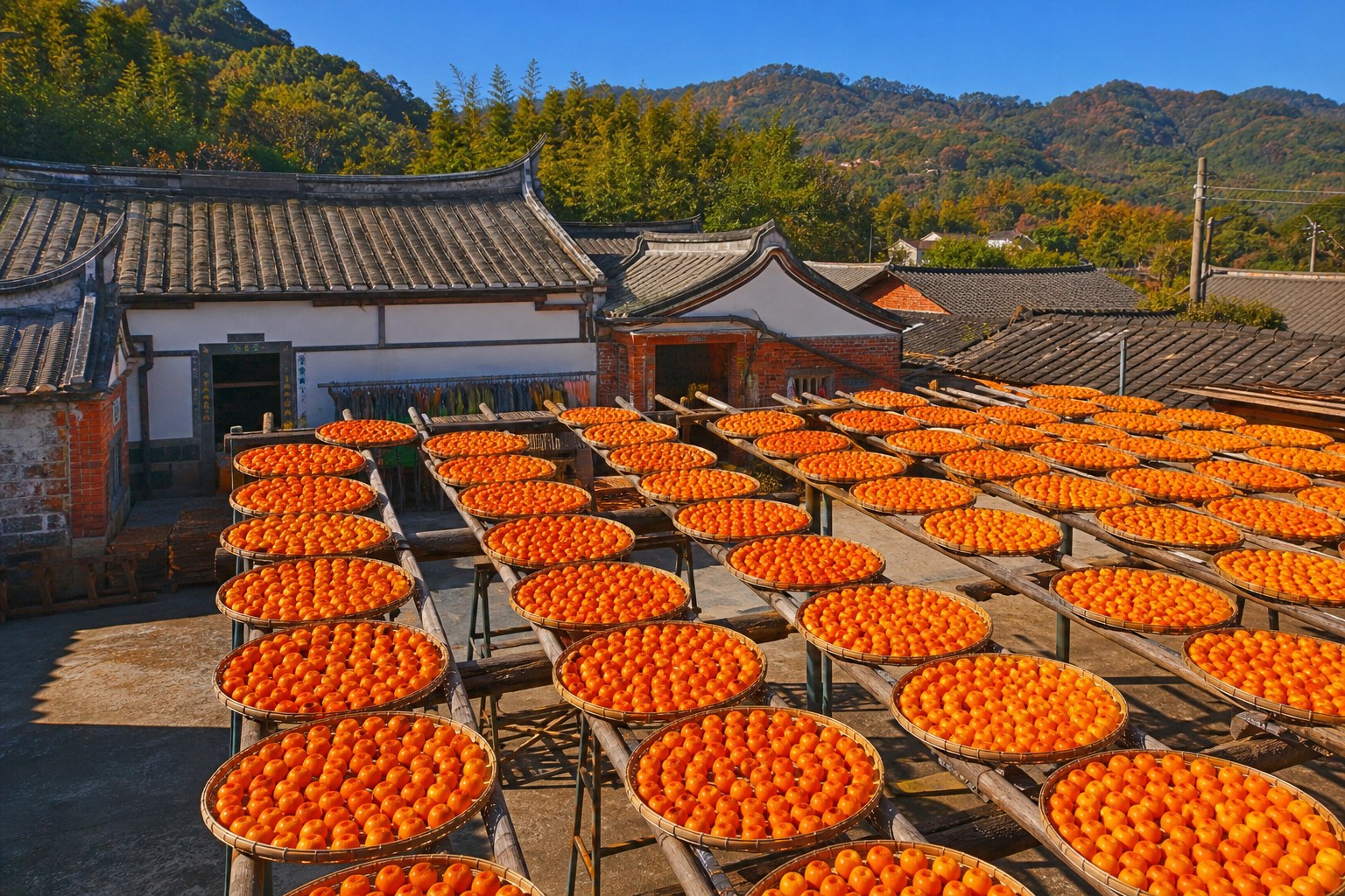 新埔旱坑里的柿餅曬場，一格格橙紅柿子鋪滿曬架，九降風與秋陽是柿餅熟成的關鍵（AI 生成示意圖）